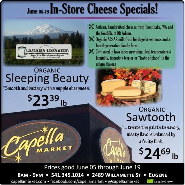 Cheese Instorespecials    B