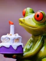 Frog Birthday 