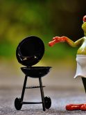 Barbecuin Frog