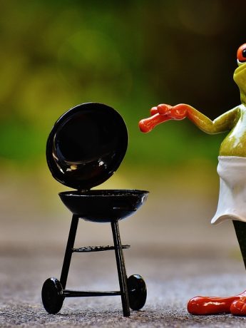 Barbecuin Frog